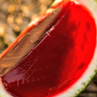 Easy Sugar Free Watermelon Jello Shots