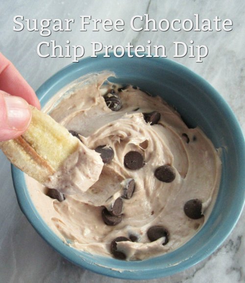 Sugar Free Chocolate Chip Protein Dip