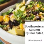 Southwestern Autumn Quinoa Salad