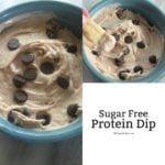 Sugar Free Chocolate Chip Protein Dip