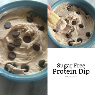 Sugar Free Chocolate Chip Protein Dip