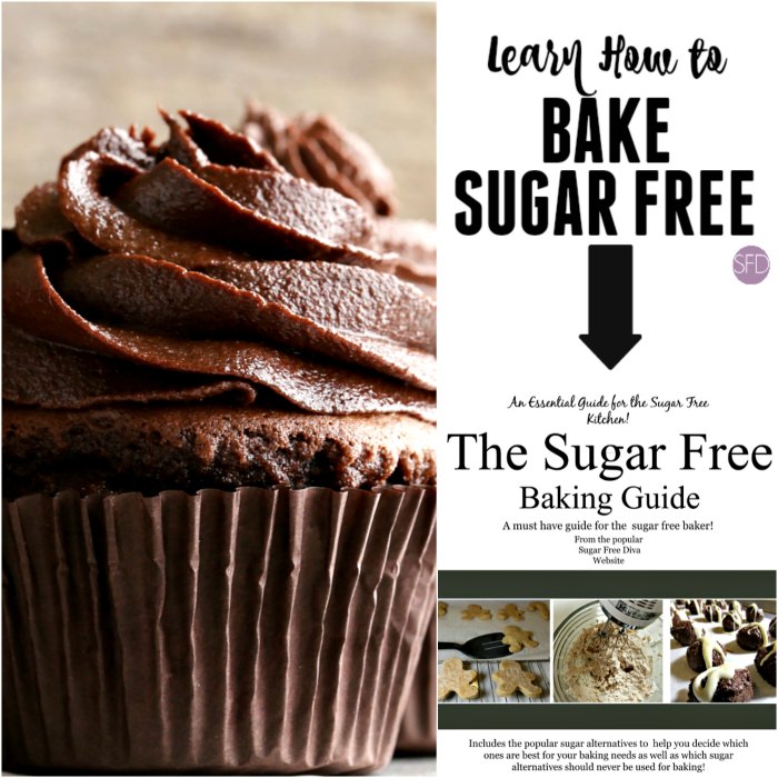 THE SUGAR FREE DIVA Enjoying a sweet life anyway