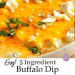 5 Ingredient Buffalo Dip