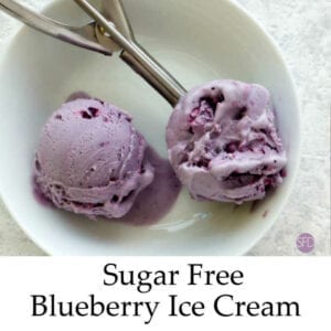 Sugar Free Blueberry Ice Cream