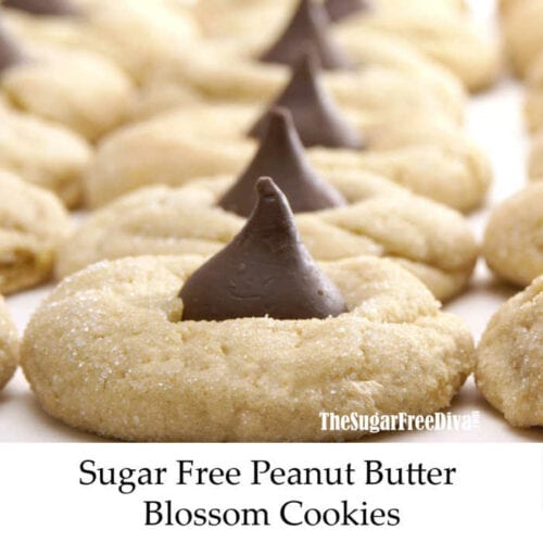 The Best Sugar Free Holiday Cookie Recipes! - THE SUGAR FREE DIVA
