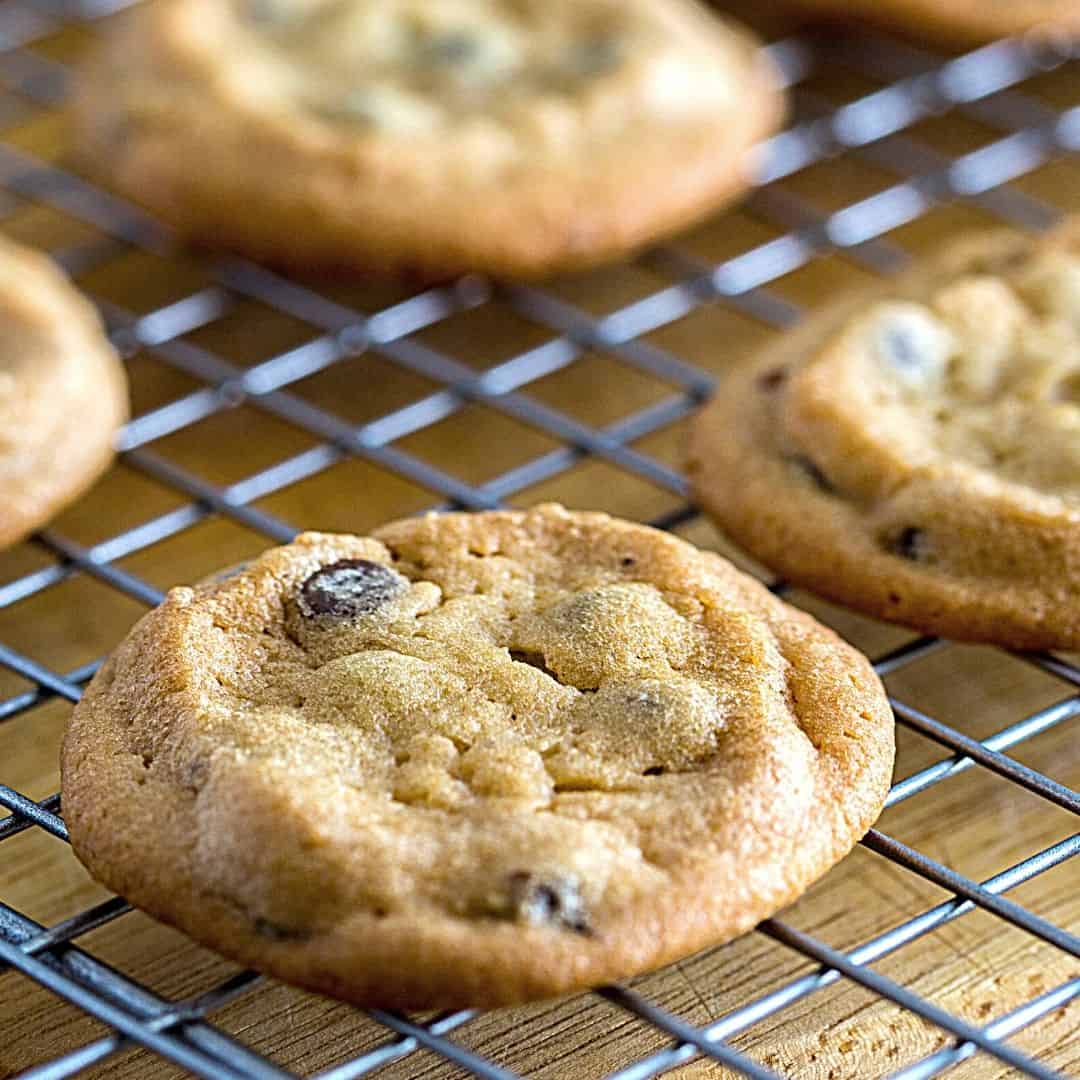 Sugar Free Chocolate Chip Cookies Recipe