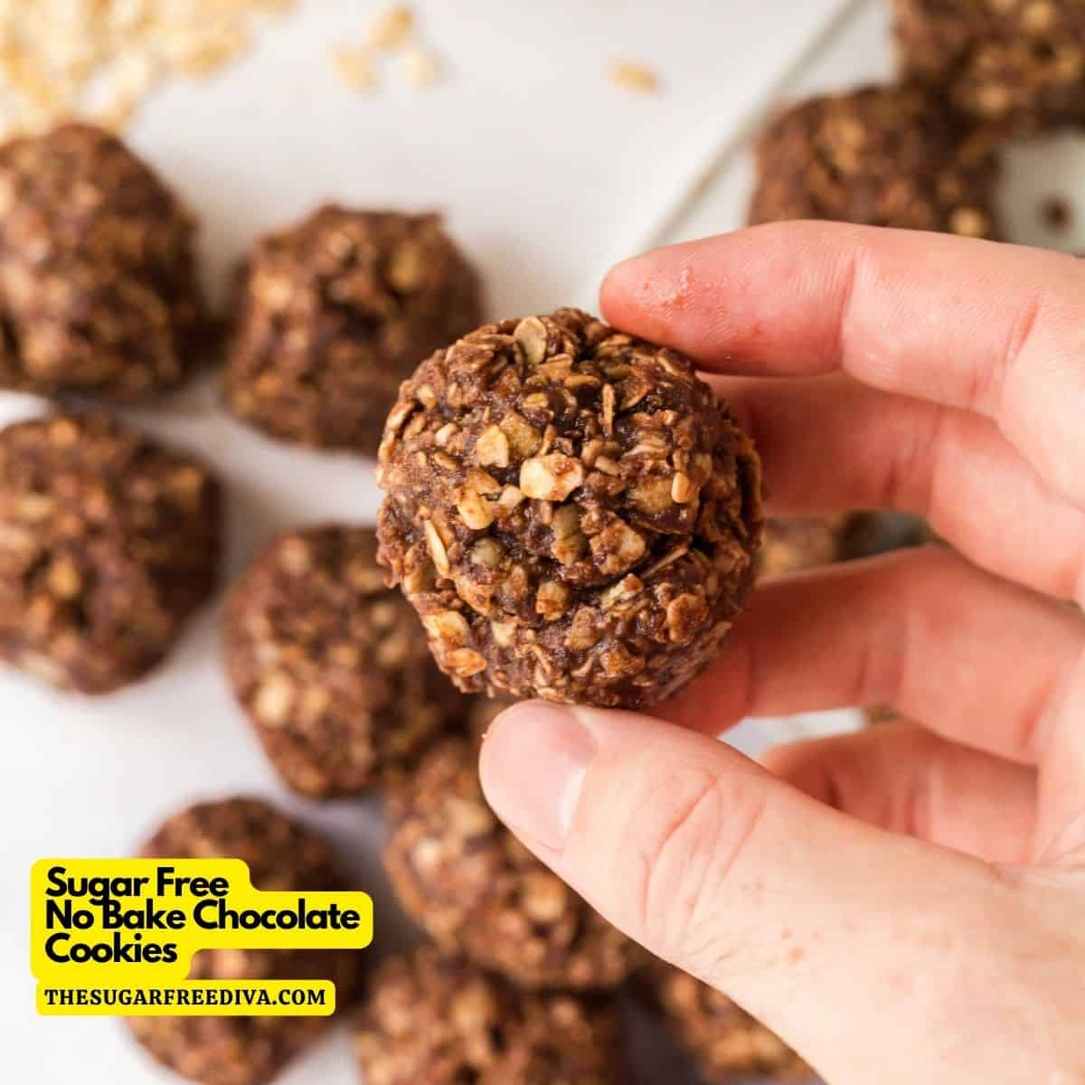 No Bake Sugar Free Chocolate Cookies, a simple and delicious dessert recipe made with oatmeal, peanut butter, and unsweetened cocoa. GF SF