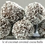Low Carb Coconut Cocoa Balls