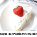 Sugar Free No Bake Pudding Cheesecake