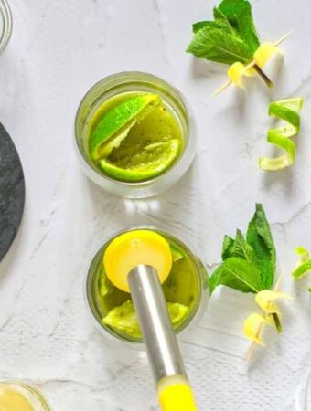 Sugar Free Low Carb Mojito