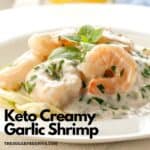 Keto Creamy Garlic Shrimp Recipe