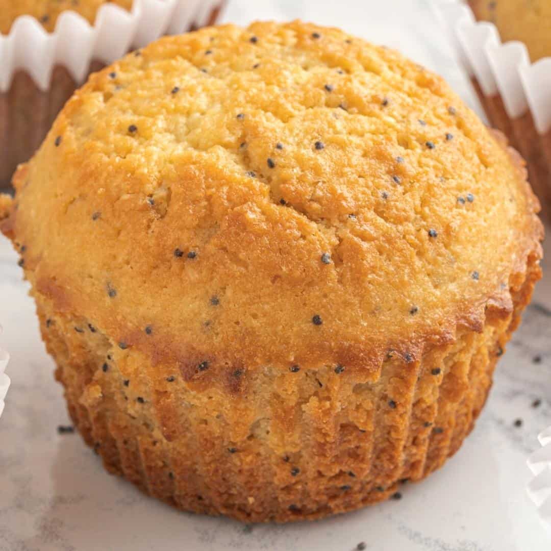 Sugar Free Lemon Poppy Seed Muffins, a keto low carb and diabetic friendly recipe  for a perfect breakfast or snack idea.