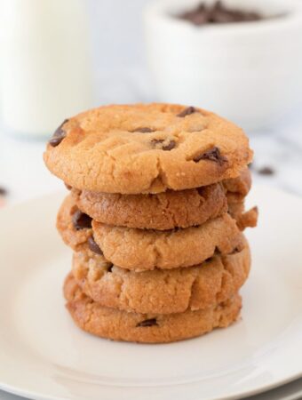 Sugar Free Chocolate Chip Peanut Butter Cookies
