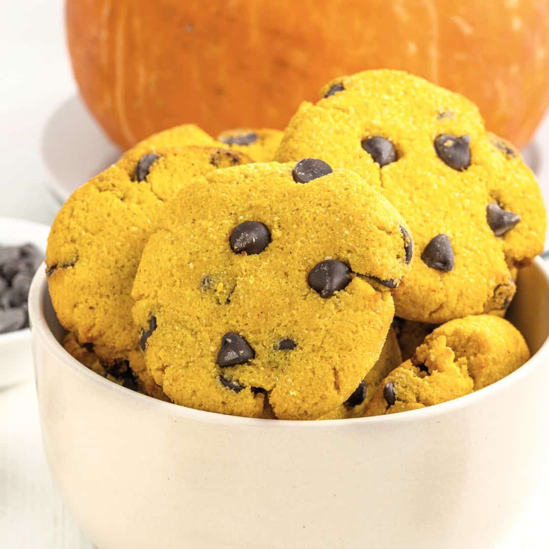 Keto Sugar Free Chocolate Chip Pumpkin Cookies, a simple dessert or snack recipe made with no added sugar. Gluten free.