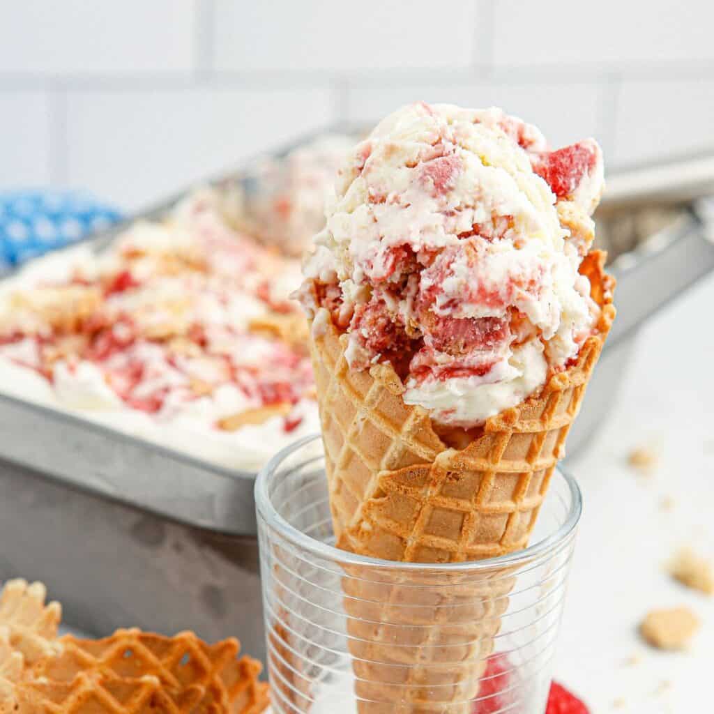 Sugar Free Raspberry Cheesecake Ice Cream THE SUGAR FREE DIVA