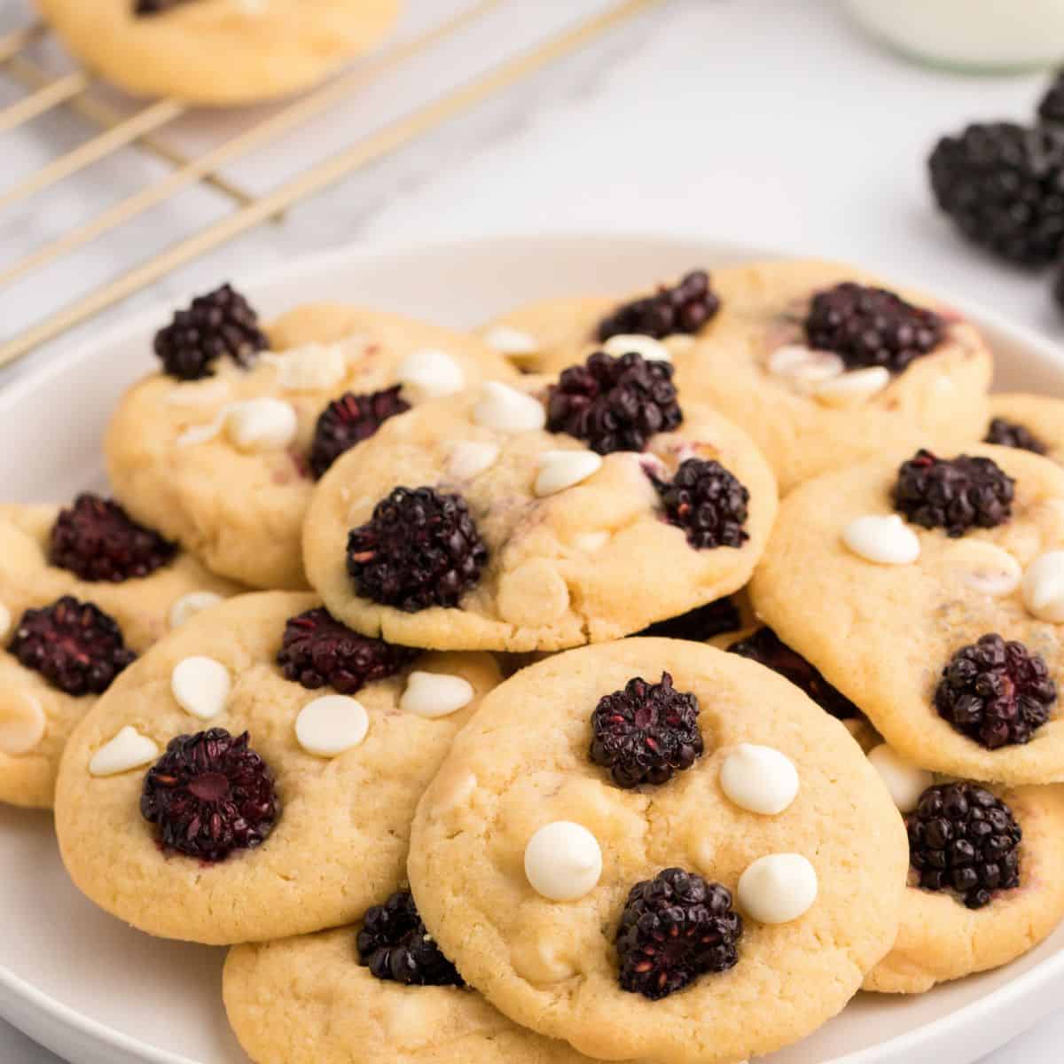 Sugar Free White Chocolate Chip Berry Cookies, a delicious buttery cookie topped with sugar free white chocolate chips and blackberries.