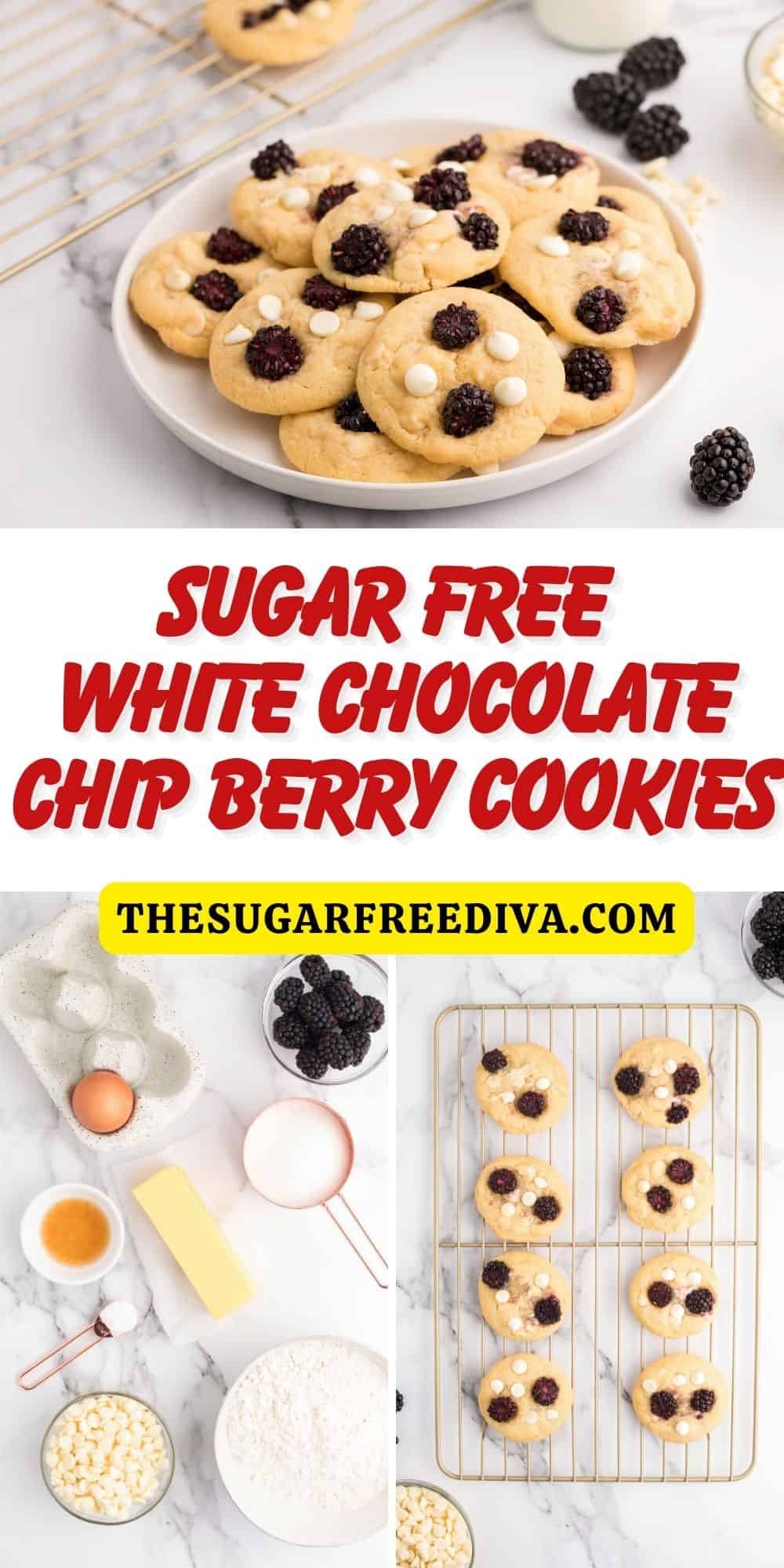 Sugar Free White Chocolate Chip Berry Cookies, a delicious buttery cookie topped with sugar free white chocolate chips and blackberries.