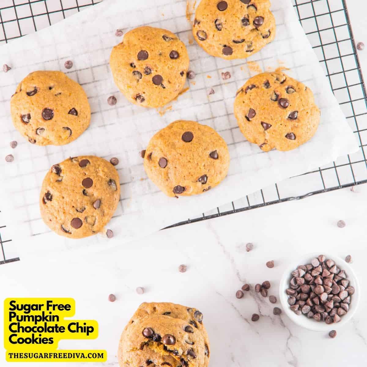 Sugar Free Pumpkin Chocolate Chip Cookies, a delicious dessert or snack recipe made for soft and chewy cookies made with no added sugar. Keto Low Carb Option.