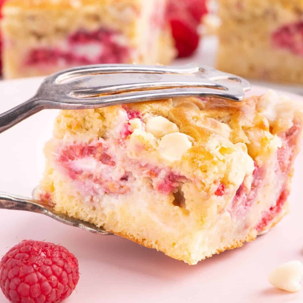 Sugar Free Raspberry Coffee Cake, an easy and delicious breakfast, brunch, or dessert recipe made with fresh raspberries and no added sugar.