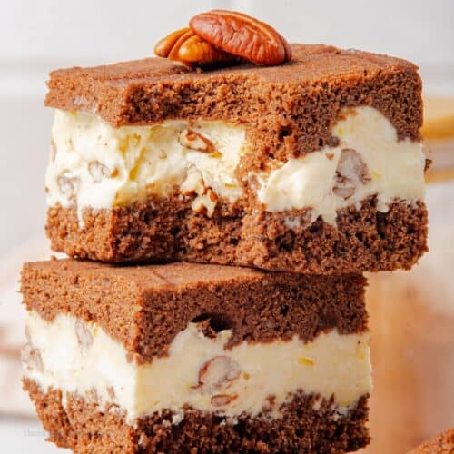 Sugar Free Pecan Ice Cream Sandwiches
