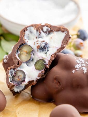 Sugar Free Chocolate Blueberry Yogurt Clusters