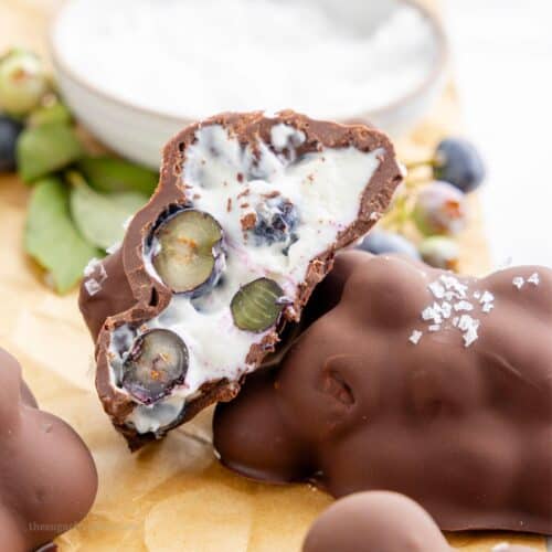 Sugar Free Chocolate Blueberry Yogurt Clusters