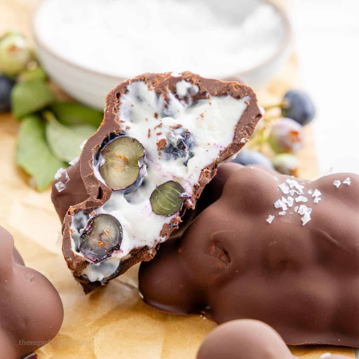  Sugar Free Chocolate Blueberry Yogurt Clusters, a simple and delicious snack or dessert recipe made with 5 ingredients and no added sugar
