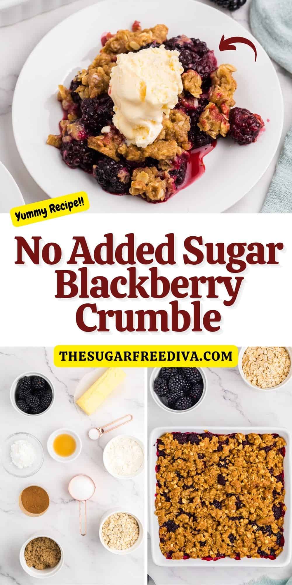 No Added Sugar Blackberry Crumble, a simple dessert recipe made with fresh blackberries and topped with a crumbly crust.