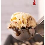 Boston Cream Pie Ice Cream, a simple no churn and delicious 5 ingredient No Added Sugar dessert recipe that tastes like the popular pie.
