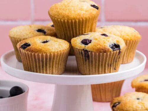 Sugar Free Cake Mix Blueberry Muffins