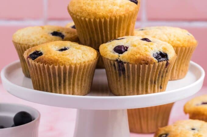 Sugar Free Cake Mix Blueberry Muffins