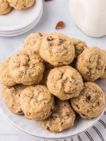 Sugar Free Butter Pecan Cookies