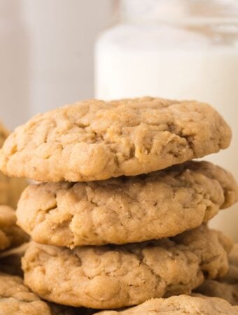 Sugar Free Peanut Butter and Oatmeal Cookies