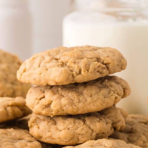 Sugar Free Peanut Butter and Oatmeal Cookies