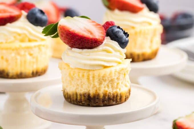 Sugar Free Mini Cheesecake Recipe
