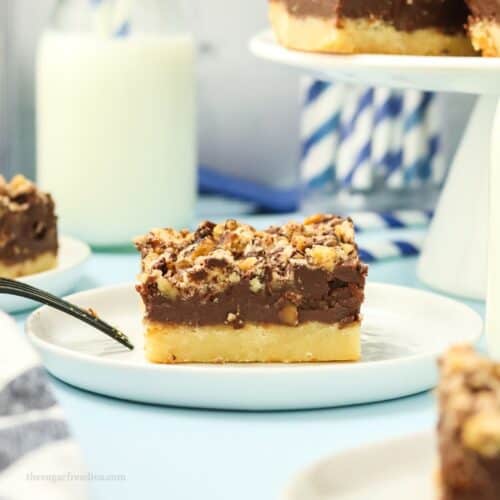 Sugar Free Chocolate Crumb Bars
