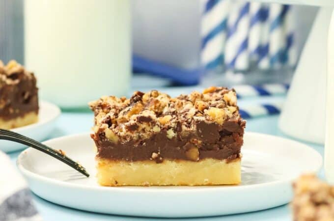 Sugar Free Chocolate Crumb Bars