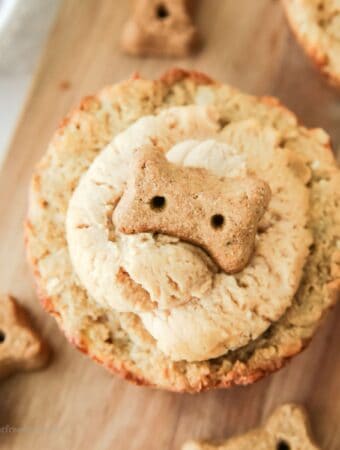 Sugar Free Frosted Pupcakes (people friendly cupcakes)