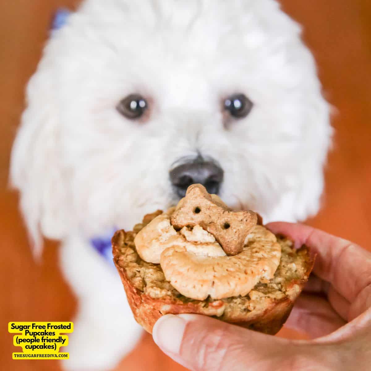 Sugar Free Frosted Pupcakes-a simple and delicious cupcake recipe that is friendly to people and pets. Made with peanut butter and oats. 