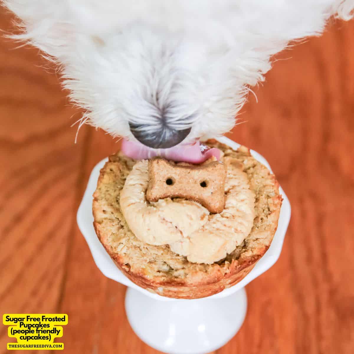 Sugar Free Frosted Pupcakes-a simple and delicious cupcake recipe that is friendly to people and pets. Made with peanut butter and oats. 
