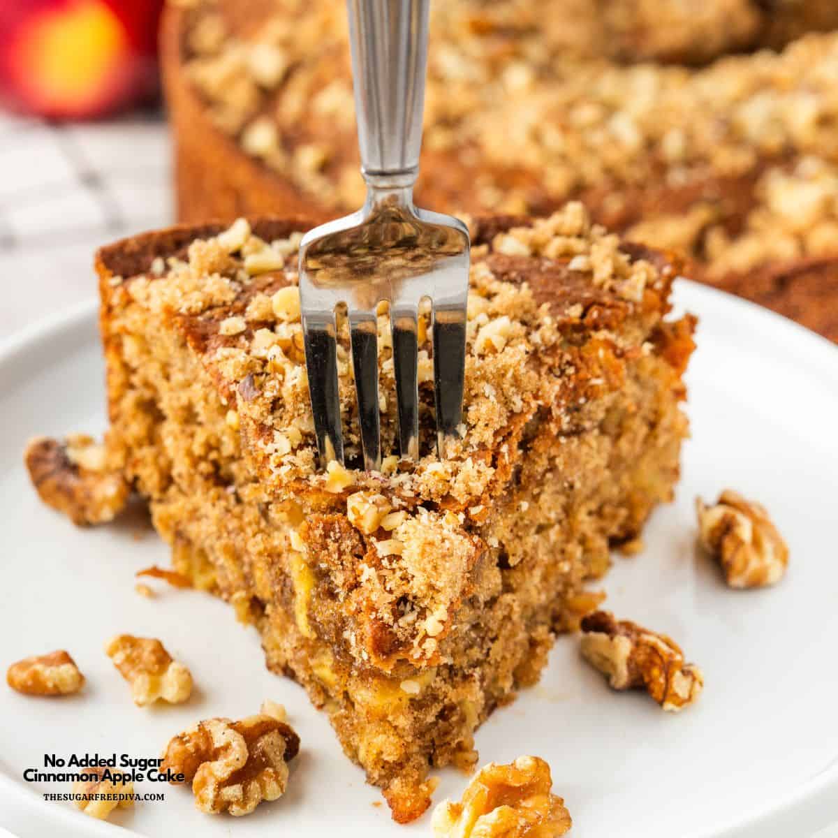 No Added Sugar Cinnamon Apple Cake, a delicious sugar free dessert recipe for a moist and flavorful cake made from scratch.