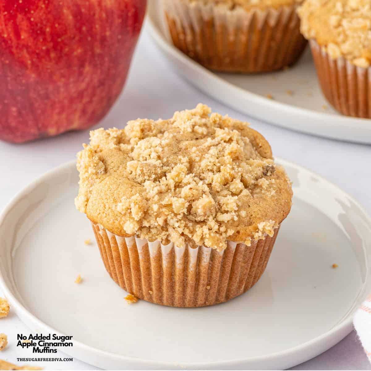 No Added Sugar Apple Cinnamon Muffins, a sugar free recipe featuring moist and tender muffins with a Streusel Topping.