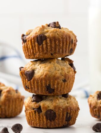 Sugar Free Oatmeal Chocolate Chip Muffins