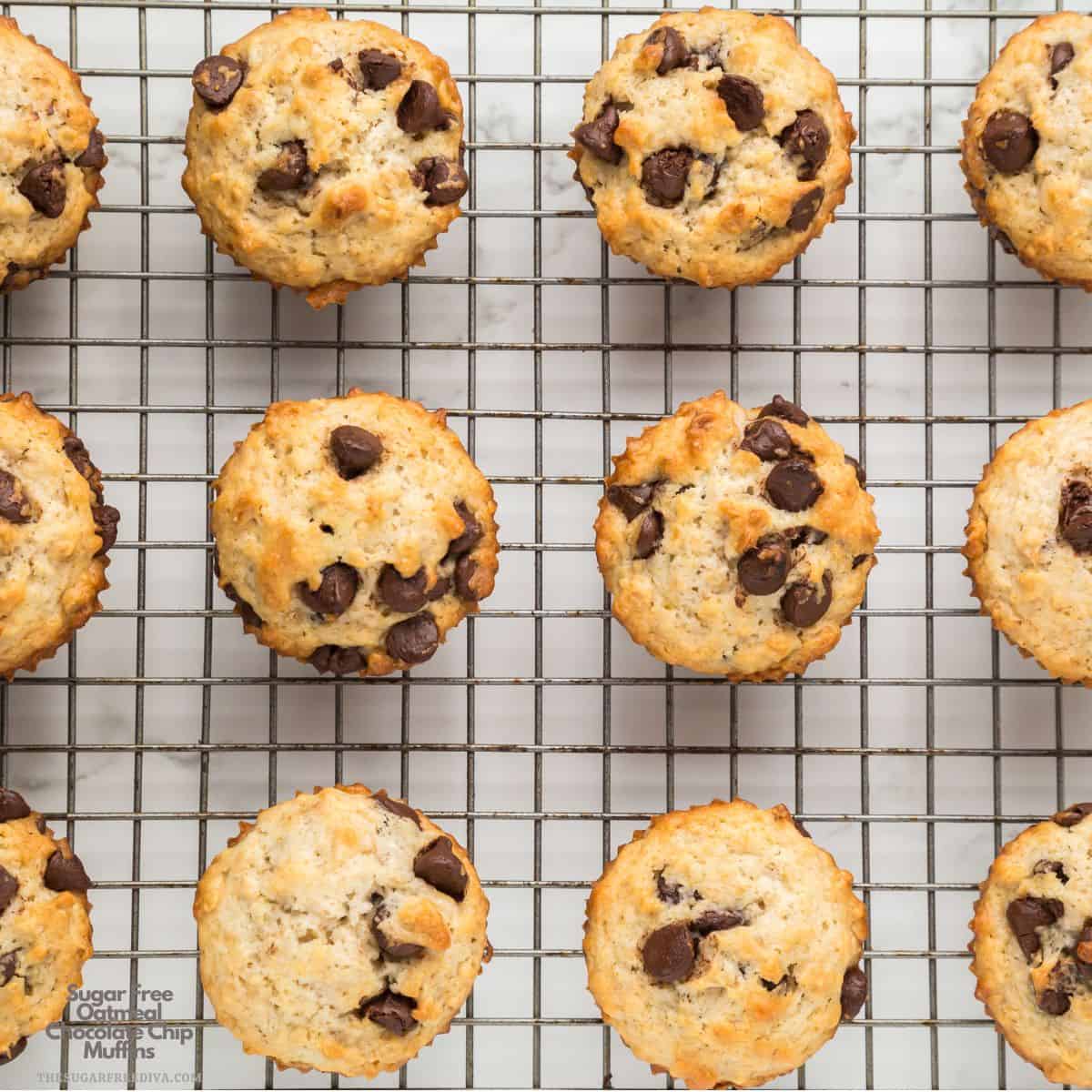 Sugar Free Oatmeal Chocolate Chip Muffins, a delicious no added sugar recipe for moist and tender muffins with a burst of chocolate. Sugar Free Oatmeal Chocolate Chip Muffins