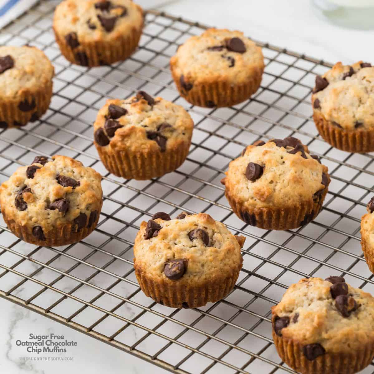 Sugar Free Oatmeal Chocolate Chip Muffins, a delicious no added sugar recipe for moist and tender muffins with a burst of chocolate. Sugar Free Oatmeal Chocolate Chip Muffins, a delicious no added sugar recipe for moist and tender muffins with a burst of chocolate.