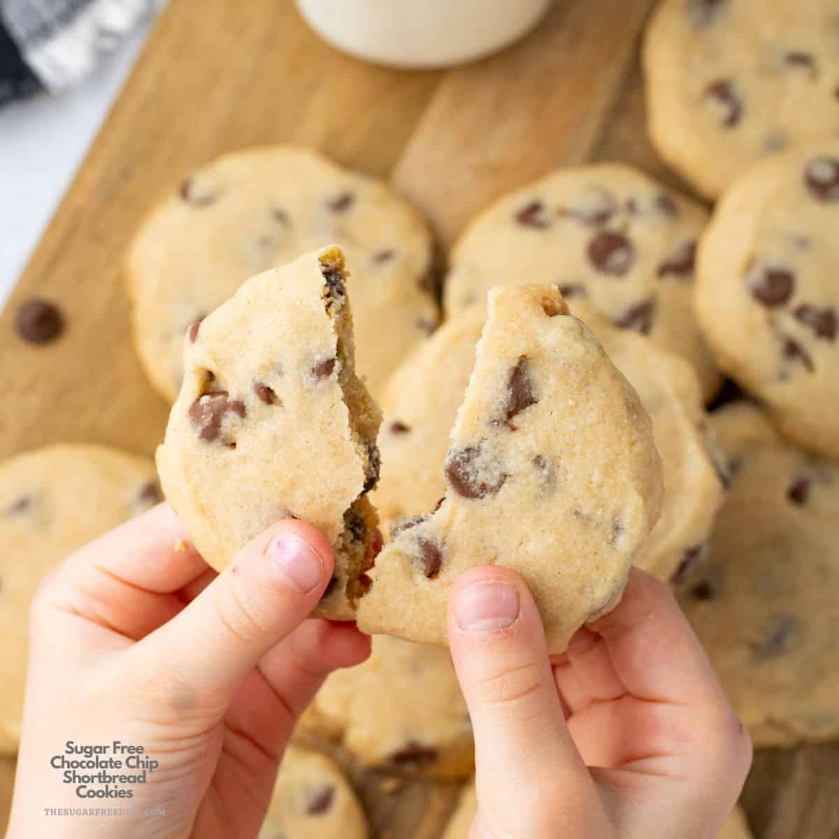 Sugar Free Chocolate Chip Shortbread Cookies, a simple no added sugar recipe for buttery cookies with decadent chocolate chips. Sugar Free Chocolate Chip Shortbread Cookies, a simple no added sugar recipe for buttery cookies with decadent chocolate chips.