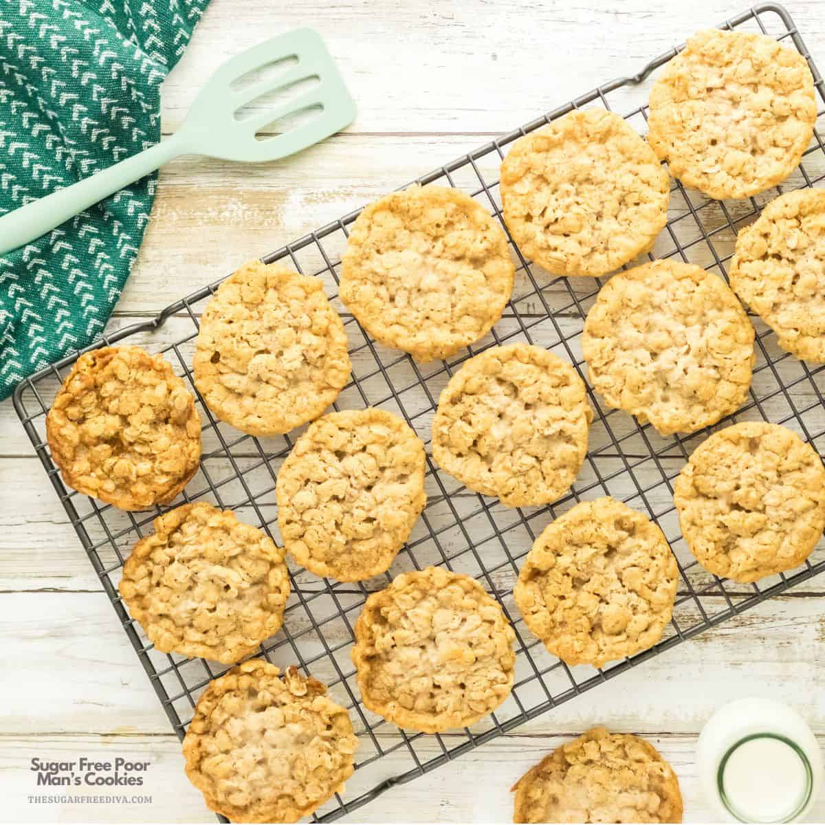 Sugar Free Poor Man’s Cookies