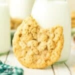 Sugar Free Poor Man’s Cookies