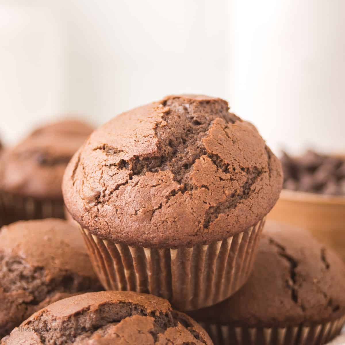 Sugar Free Brown Butter Chocolate Muffins- a delicious recipe for tender and fluffy muffins bursting with deep caramelized flavor and made with no added sugar. Sugar Free Brown Butter Chocolate Muffins- a delicious recipe for tender and fluffy muffins bursting with deep caramelized flavor and made with no added sugar.