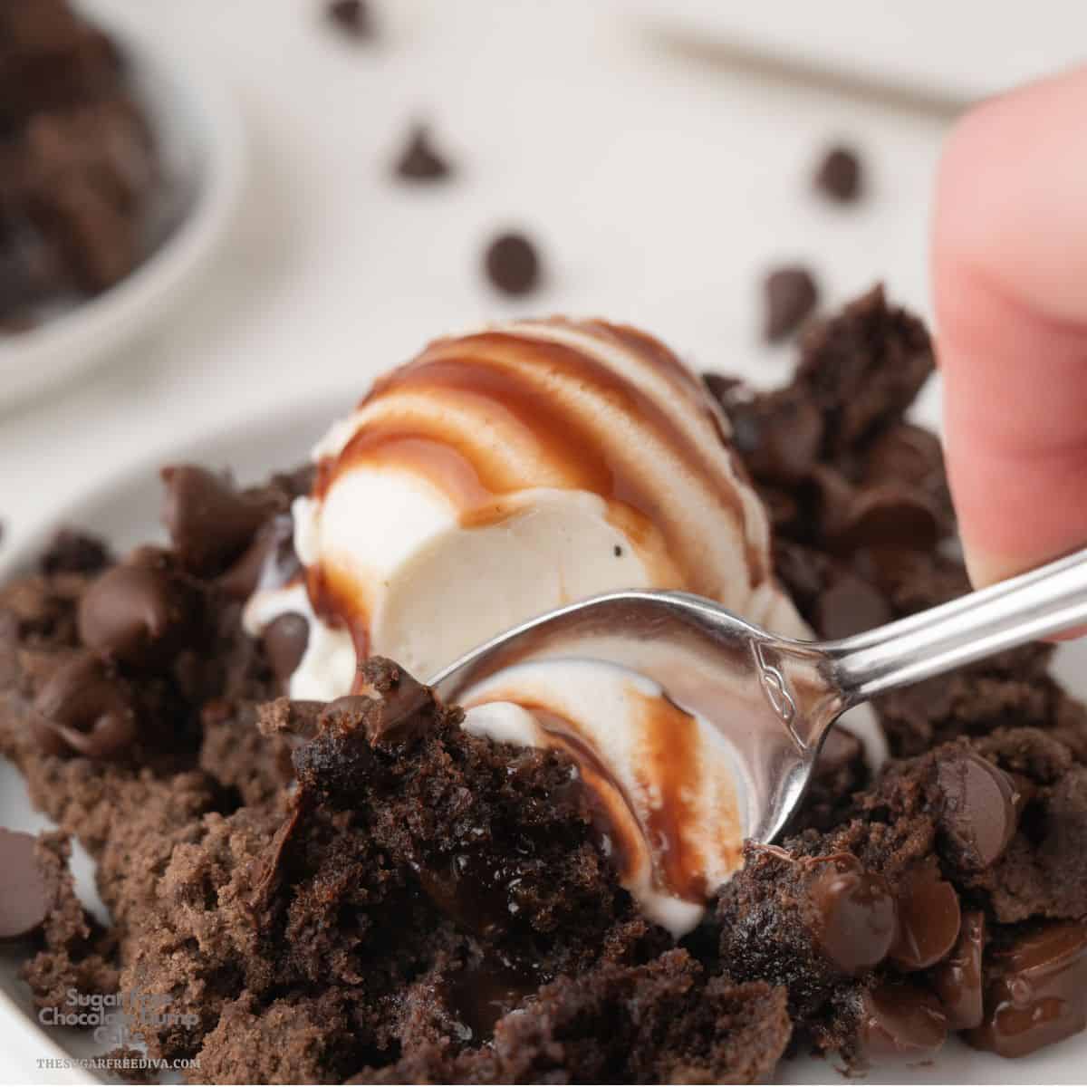 Sugar Free Chocolate Dump Cake, Indulge in this rich, gooey 5-ingredient easy low-glycemic dessert for chocolate lovers.